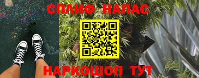 ECSTASY Славгород