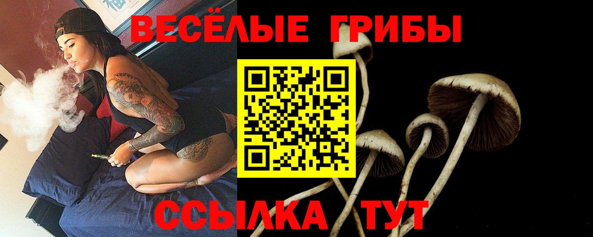 где можно купить наркотик  Псилоцибиновые грибы MAGIC MUSHROOMS  Вход с VPN  Обь 